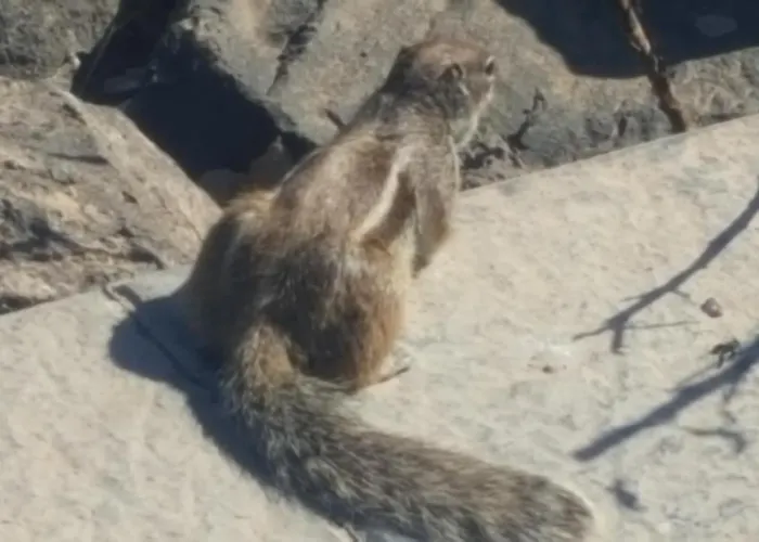 Beautiful, Spacious Villa, Heated Pool, Sleeps Eight, With Quality Furnishings Villa Caleta De Fuste