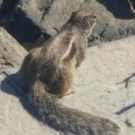 Beautiful, Spacious Villa, Heated Pool, Sleeps Eight, With Quality Furnishings ヴィラ カレタ・デ・フステ